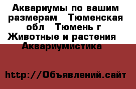 Аквариумы по вашим размерам - Тюменская обл., Тюмень г. Животные и растения » Аквариумистика   